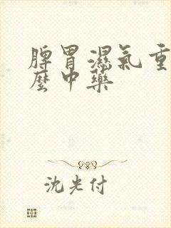 脾胃湿气重吃什么中药