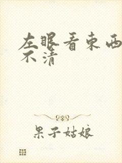 左眼看东西模糊不清