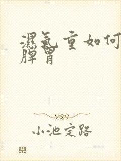 湿气重如何调理脾胃