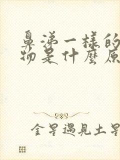 鼻涕一样的分泌物是什么原因