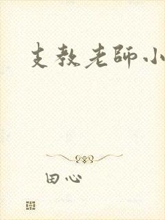 支教老师小说封面