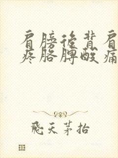 肩膀后背肩胛骨疼胳膊酸痛封面