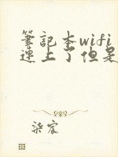 笔记本wifi连上了但是上不了网