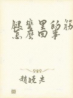 腿弯里的筋疼是怎么回事