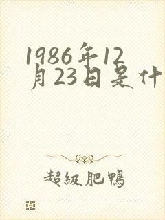 1986年12月23日是什么星座