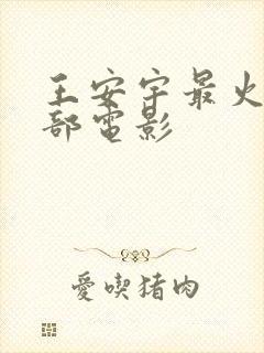 王安宇最火的三部电影