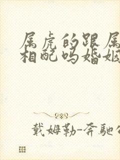 属虎的跟属龙的相配吗婚姻