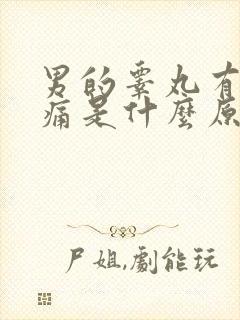 男的睾丸有点胀痛是什么原因封面