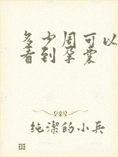 多少周可以b超看到孕囊