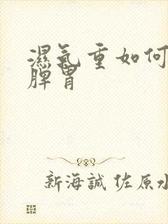 湿气重如何调理脾胃