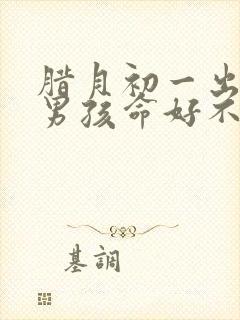 腊月初一出生的男孩命好不好?