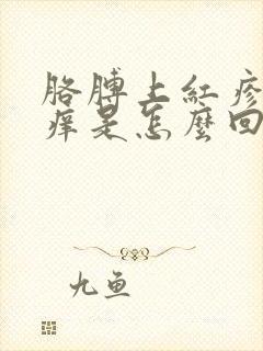 胳膊上红疹子发痒是怎么回事