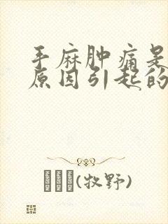 手麻肿痛是什么原因引起的封面