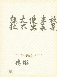 想大便光放屁又拉不出来是怎么回事