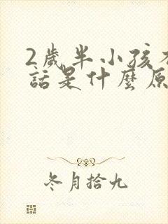 2岁半小孩不说话是什么原因封面