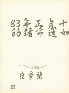 83年正月十六的猪命运如何封面