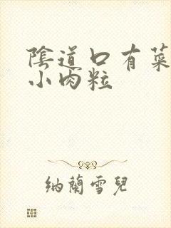 阴道口有菜花状小肉粒