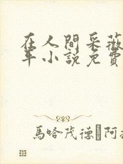 在人间采薇陆三平小说免费阅读