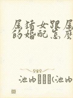 属猪女跟属龙男的婚配怎么样封面