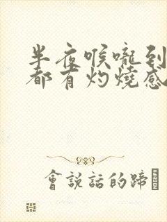 半夜喉咙到胃部都有灼烧感