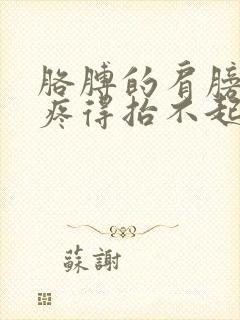 胳膊的肩膀疼,疼得抬不起来了