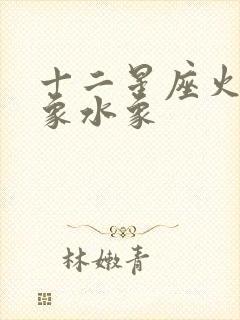 十二星座火象风象水象