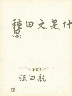 种田文是什么意思