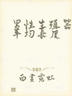 男性生殖器勃起平均长度封面