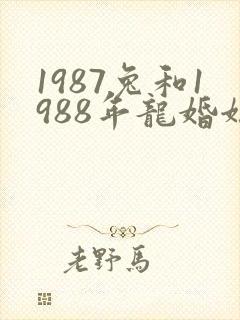 1987兔和1988年龙婚姻好不好