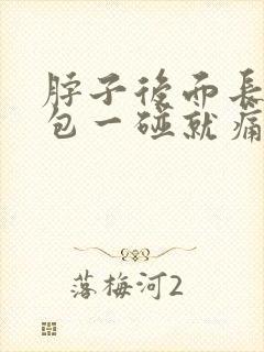 脖子后面长了个包一碰就痛