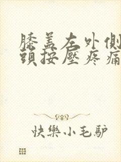 膝盖左外侧的骨头按压疼痛