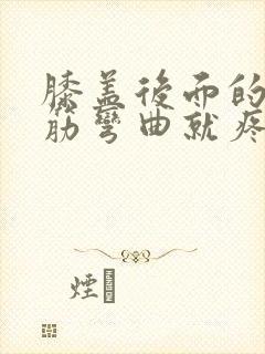 膝盖后面的腿窝筋弯曲就疼怎么回事