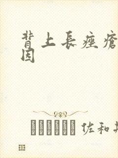 背上长痤疮的原因