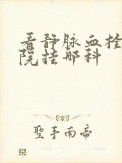 看静脉血栓去医院挂哪科封面