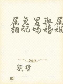 属兔男与属龙女相配吗婚姻