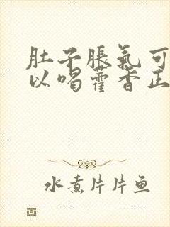 肚子胀气可不可以喝藿香正气水