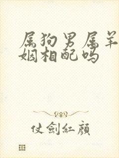 属狗男属羊女婚姻相配吗