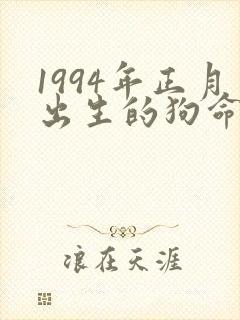 1994年正月出生的狗命运