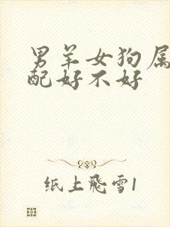 男羊女狗属相婚配好不好