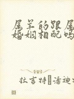 属羊的跟属狗的婚姻相配吗