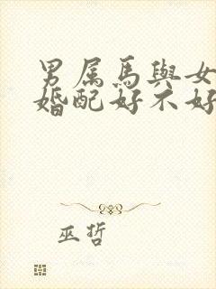 男属马与女属鸡婚配好不好