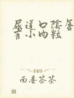 尿道口阴唇内侧有小肉粒