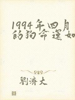 1994年四月的狗命运如何封面