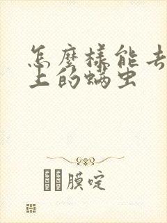 怎么样能去除床上的螨虫