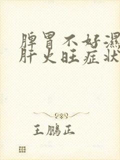 脾胃不好湿气重肝火旺症状