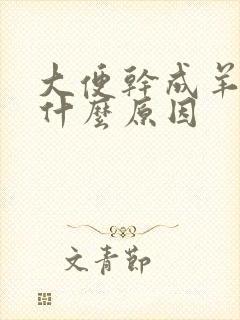 大便干成羊屎蛋什么原因封面