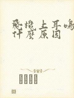 飞机上耳鸣耳痛什么原因