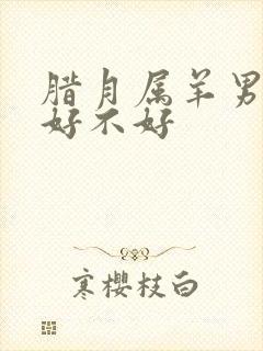 腊月属羊男孩命好不好封面