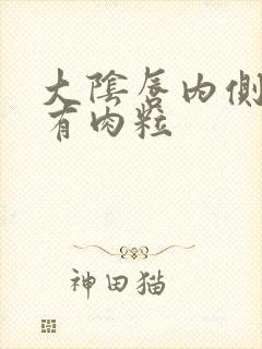 大阴唇内侧皮肤有肉粒封面