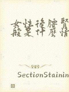 女性后腰肾疼一般是什么情况